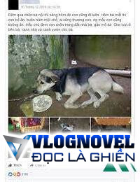 Mười Năm Để Chó Ăn