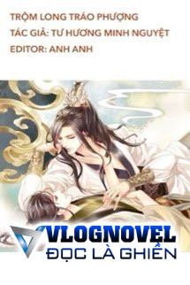 Trộm Long Tráo Phượng