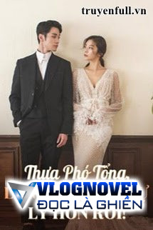 Thưa Phó Tổng, Lần Này Thực Sự Ly Hôn Rồi!