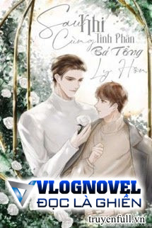 Sau Khi Cùng Tinh Phân Bá Tổng Ly Hôn