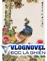 Tiểu Phượng Hoàng Cùng Lão Ngô Đồng