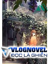 Tịch Dương Vô Hạn Hảo