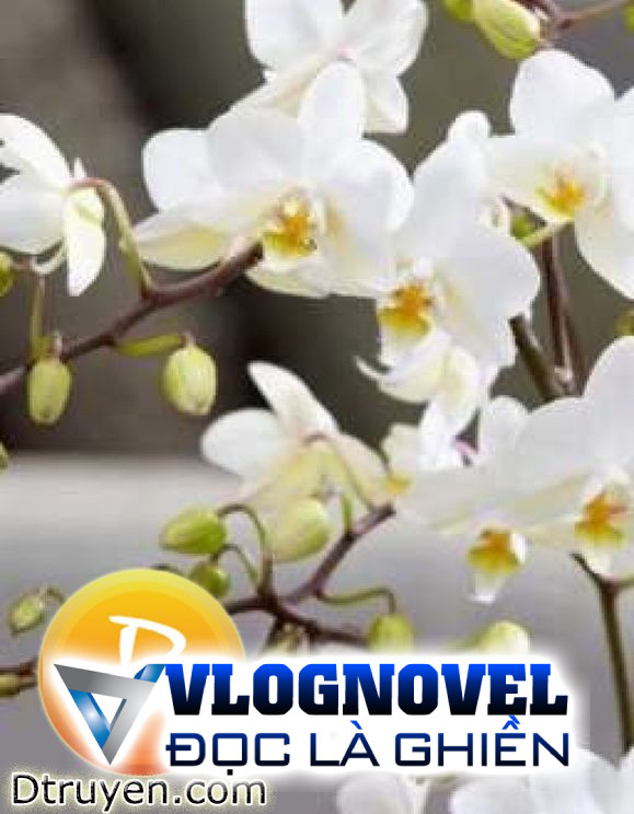 Một Đêm Gió Lộng Khắp Biên Quan