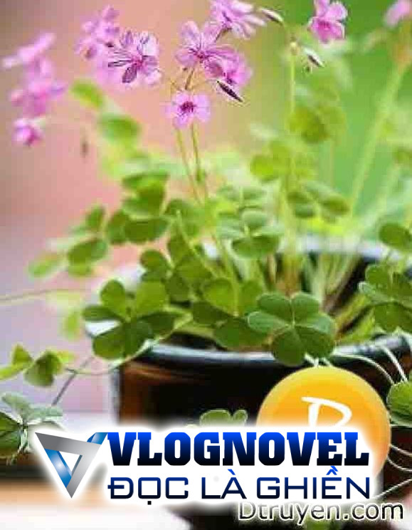 Vương Gia, Tiên Thảo Của Ngài Lại Chuồn Mất Rồi